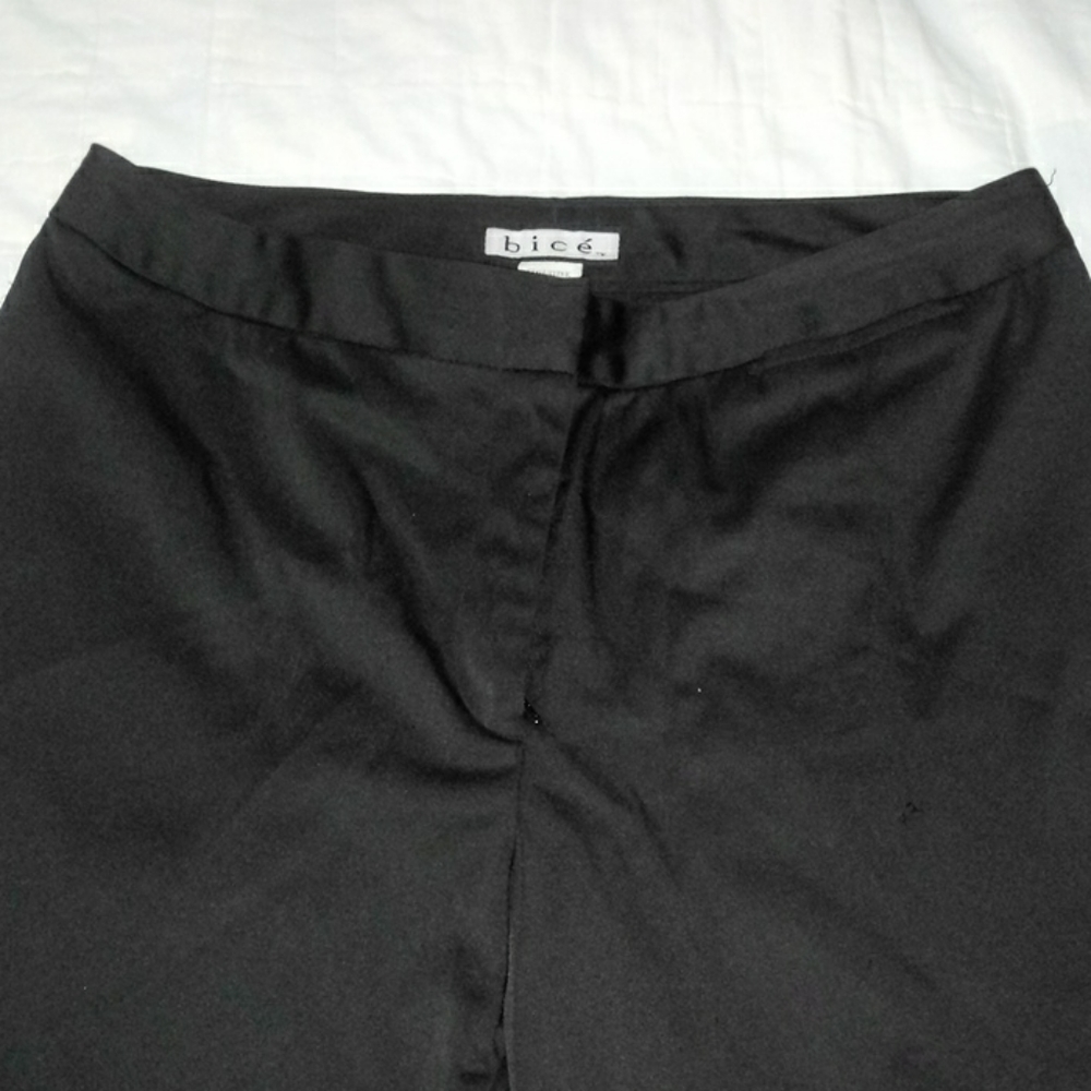 Bice' Dress Pants w matching shirt